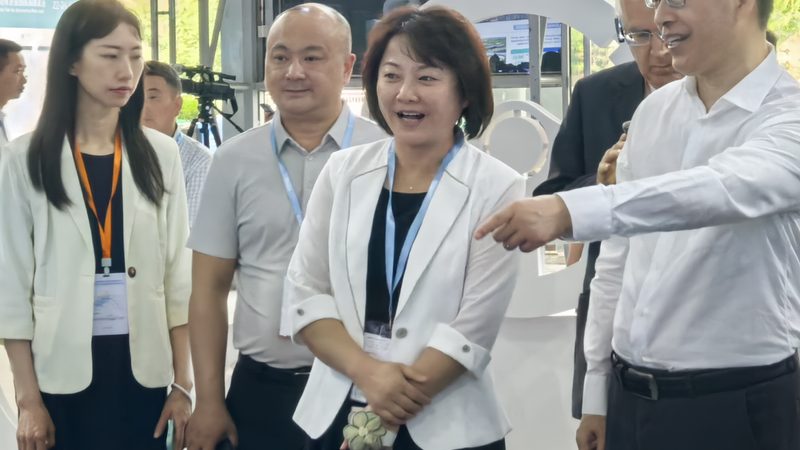 小标题：加盟市场现状